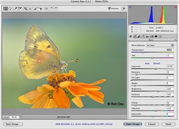 Adobe Camera Raw截圖