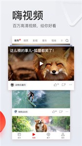 網易新聞截圖