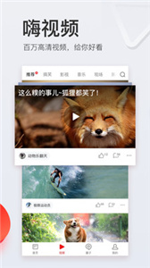 網易新聞