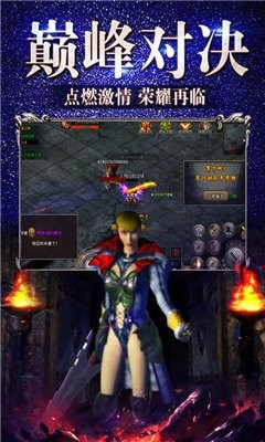 單職業(yè)冰雪復(fù)古打金截圖