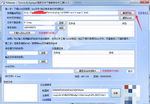 TSmaster截圖