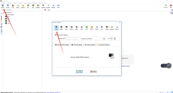 MobaXterm Professional