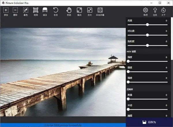 PictureColorizer截圖