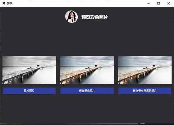 PictureColorizer截圖
