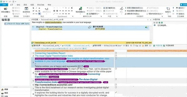 SDL Trados Studio截圖