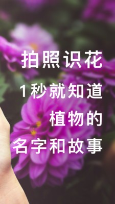 形色截圖