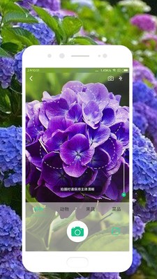 識(shí)物截圖