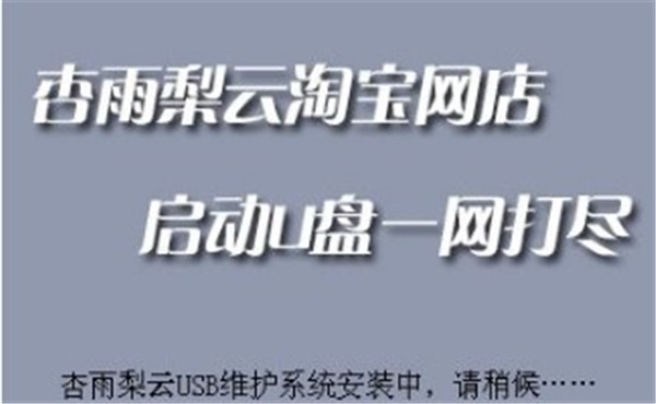 杏雨梨云USB維護(hù)系統(tǒng)截圖