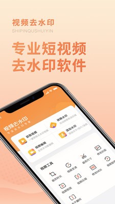 視頻去水印專業(yè)版截圖