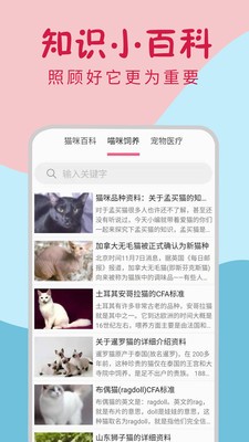 小貓翻譯器截圖