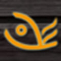 魚躍CMS