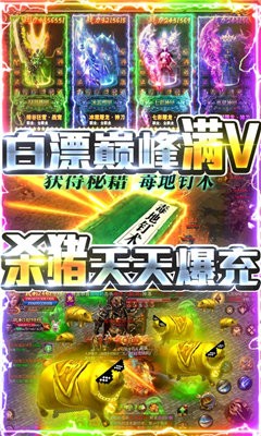 戰(zhàn)力過(guò)億變態(tài)傳奇截圖