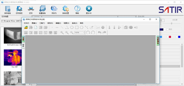 飒特红外报告分析软件
