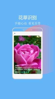 拍照識圖助手截圖