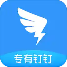 專有釘釘
