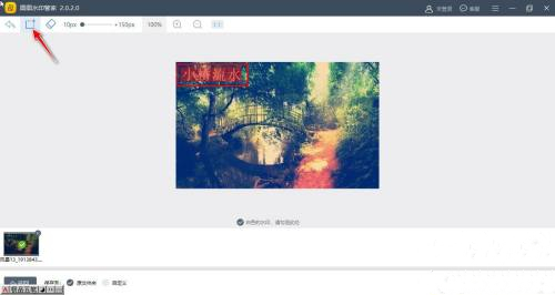 图图去水印绿色版