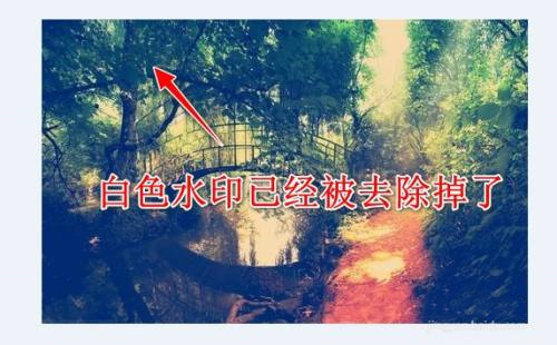 图图去水印绿色版