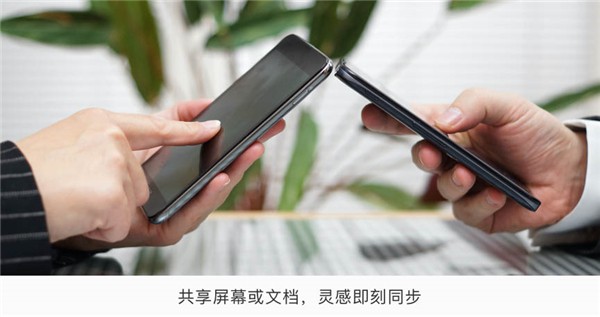 孔雀開會截圖