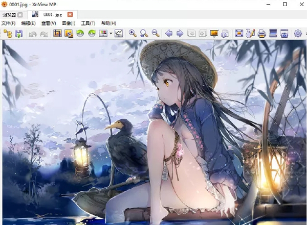 XnView看图工具