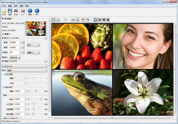 PhotoZoom Classic 8截圖