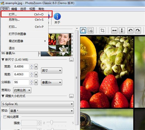 PhotoZoom Classic 8截圖