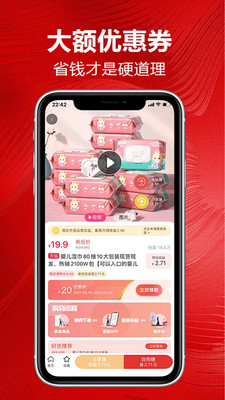 卷毛豬