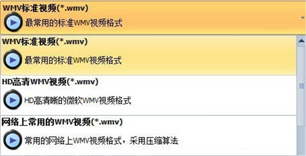 佳佳WMV格式轉(zhuǎn)換器截圖