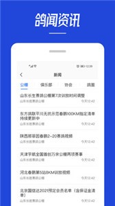 青鴿網(wǎng)app截圖