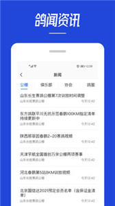 青鴿網(wǎng)app