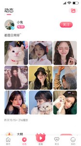 大麟商娛app截圖