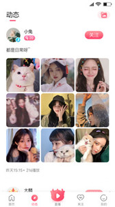 大麟商娛app