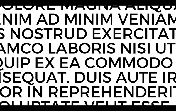 fontlab vi截圖