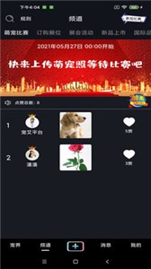 寵艾截圖
