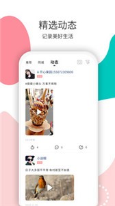 花解解截圖