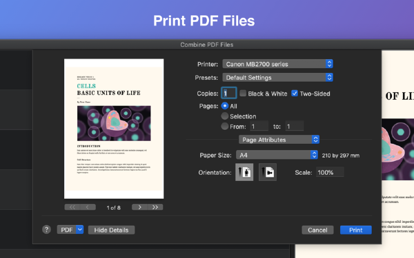 Combine PDF Files截圖