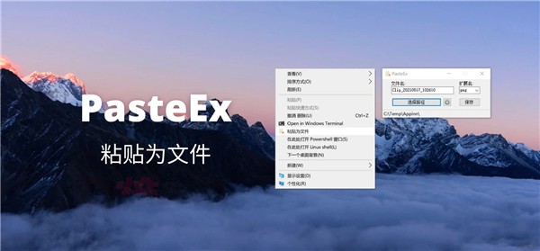 PasteEx截圖