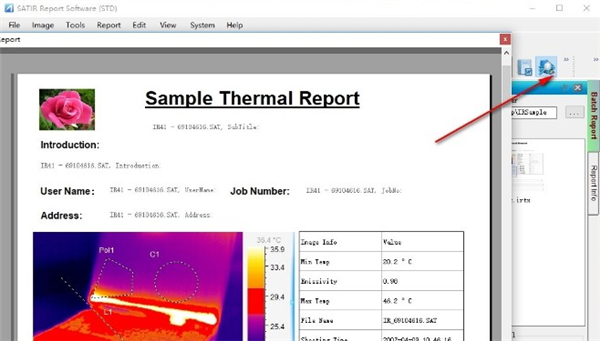 飒特红外报告分析工具