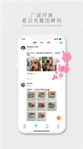 Suns截圖