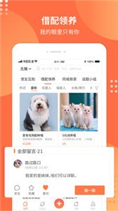 寵胖胖截圖