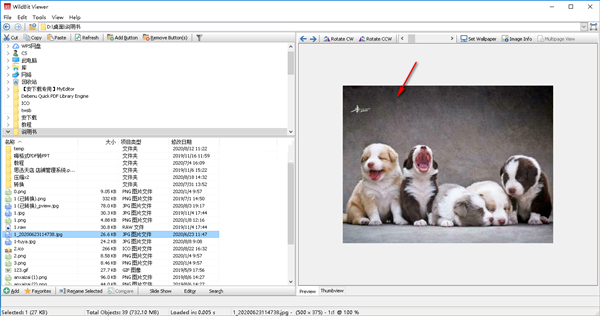 WildBit Viewer截圖