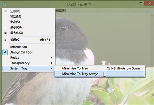 SmartSystemMenu截圖
