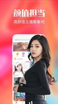 貓咪直播截圖