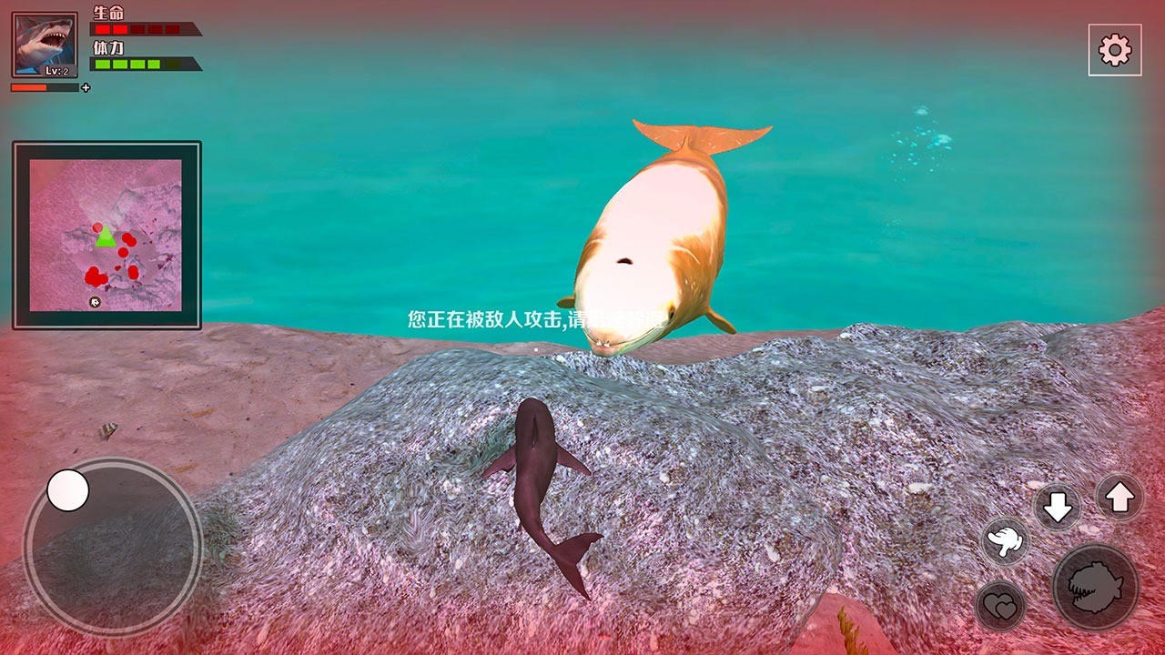 饑餓鯊魚求生截圖