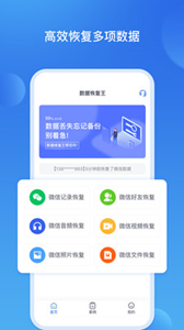 數(shù)據(jù)恢復(fù)王