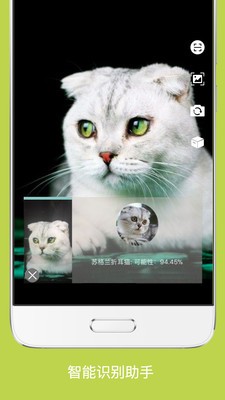 Coveer截圖