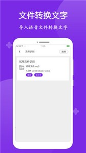 錄音轉(zhuǎn)文字大師截圖