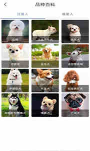 寵物知識全書