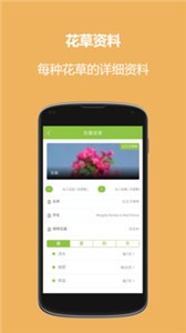 東籬花草截圖