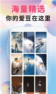 intolive精靈壁紙截圖