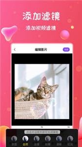 錄屏俠